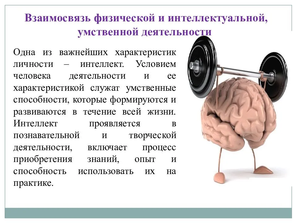 Виды интеллекта и их роль в личной стратегии | strategium