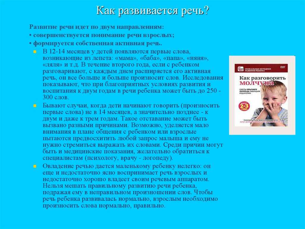 1.3. языковое развитие: для чего и как дети учатся говорить?