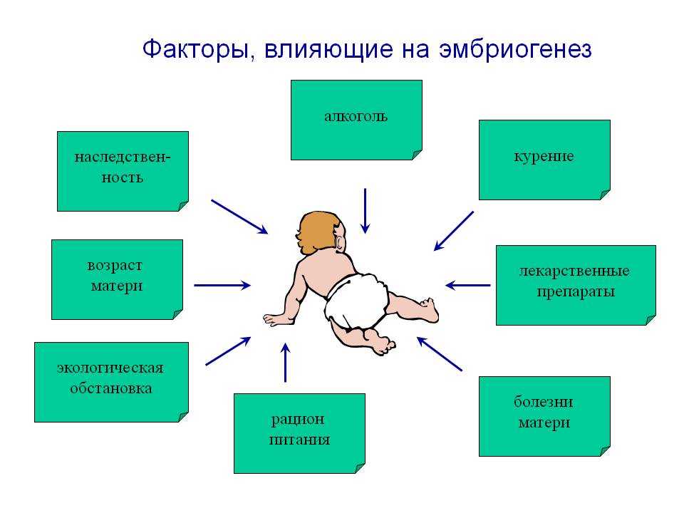 Социальные факторы, негативно влияющие на детский организм - гора е.п. экология человека