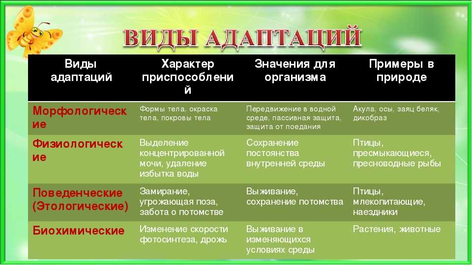 В широком смысле адаптация это приспособление привыкание к новым условиям жизни