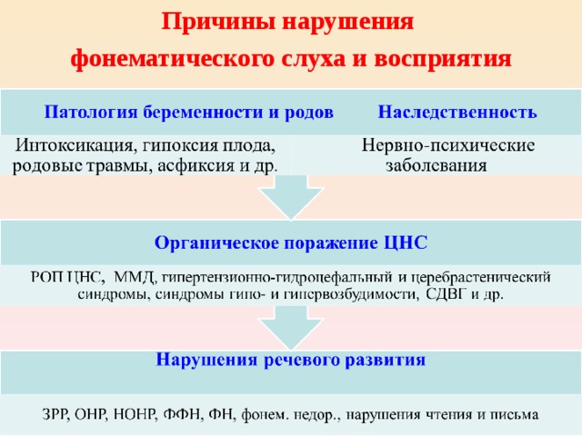 В психологических исследованиях и логопедии речевой слух называют фонематическим слухом