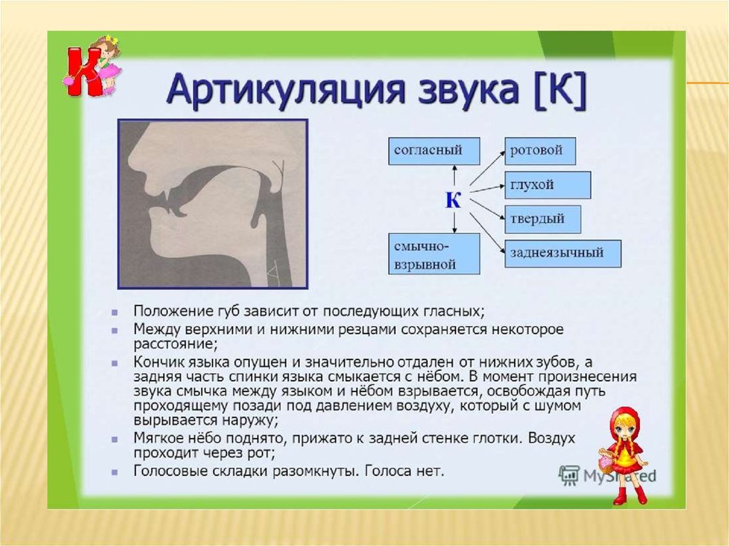 Презентация на тему "профиль артикуляции звука"