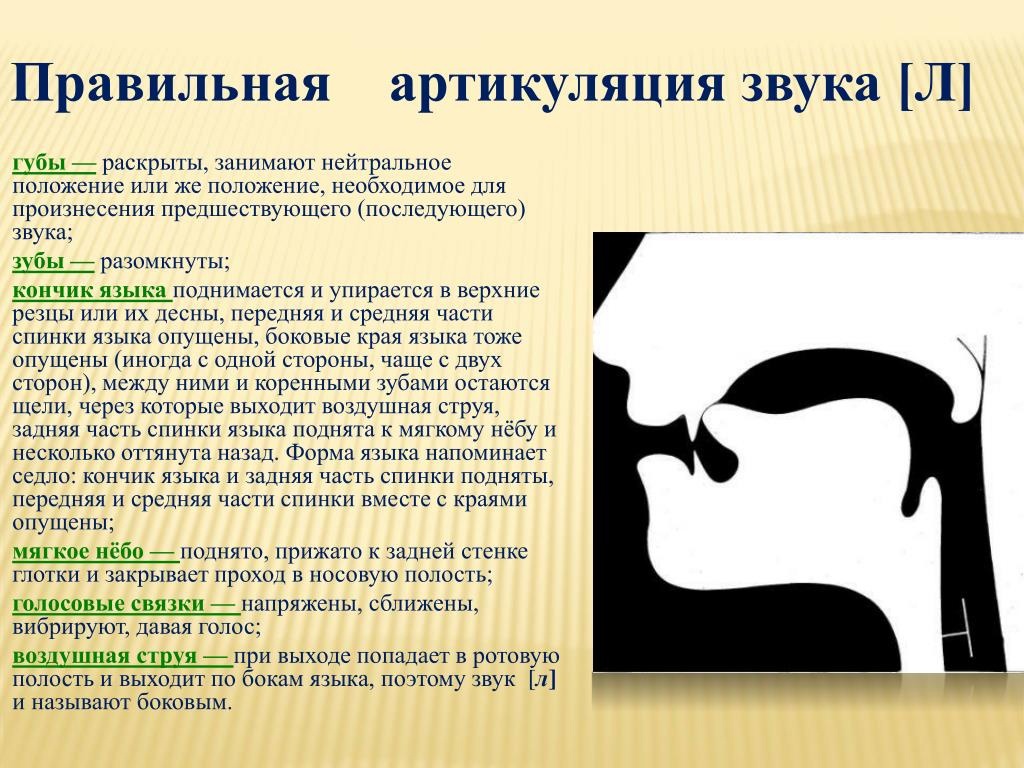 Развитие речи ребенка от 0 до года