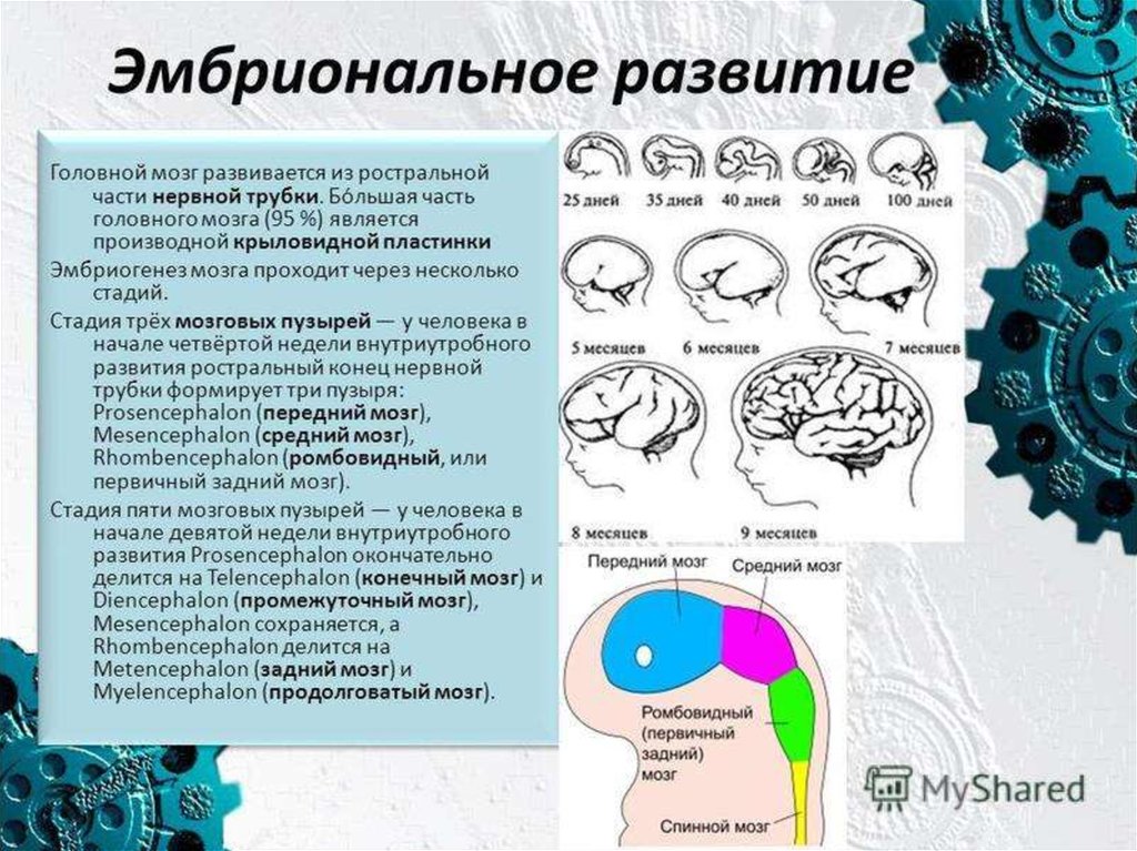 Особенности восприятия информации детьми: как лучше воспринимается информация