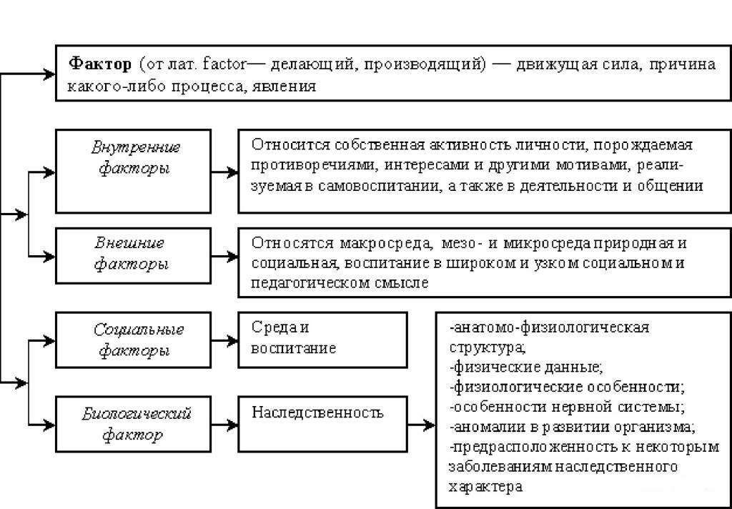 Факторы развития личности человека - блог викиум