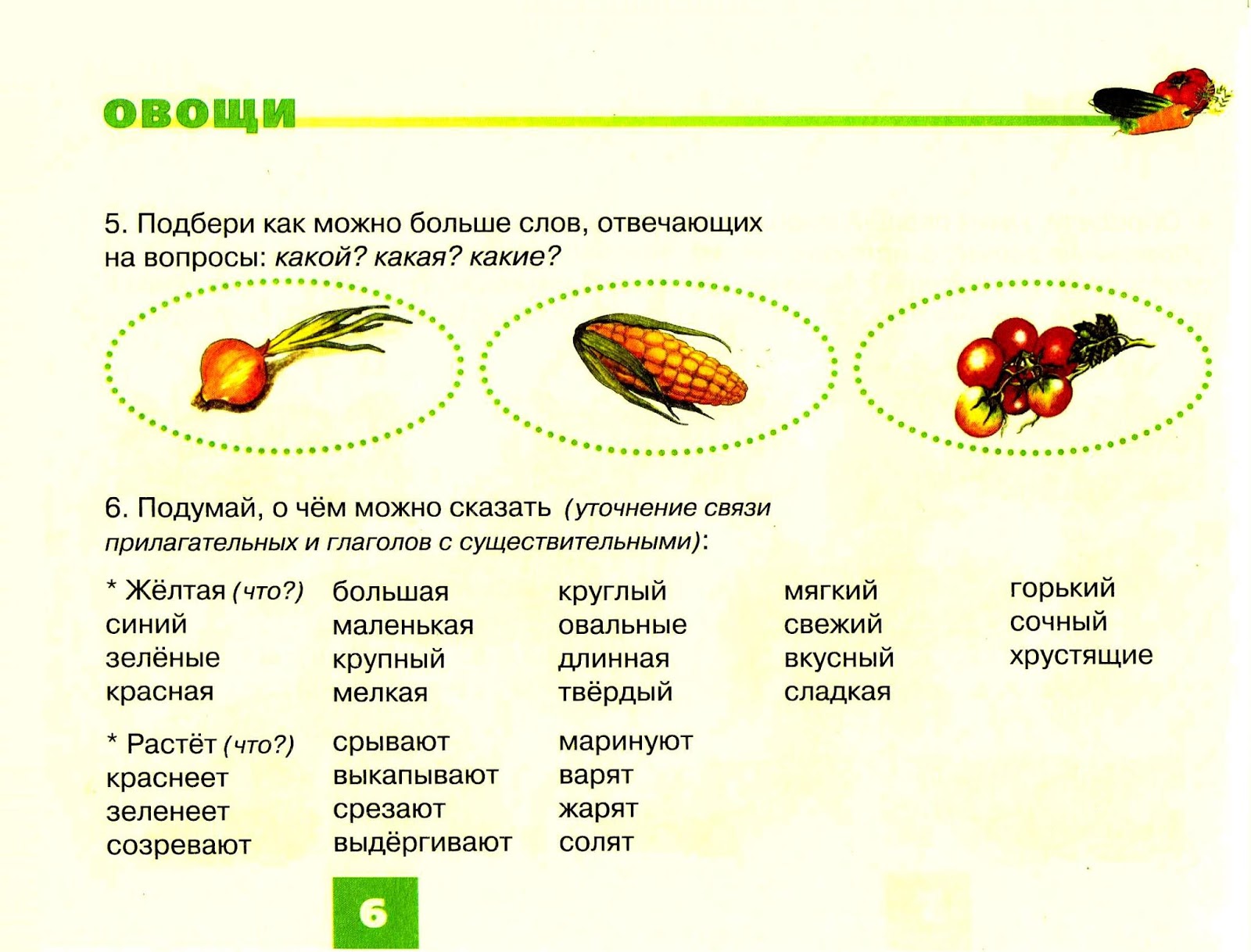 Конспект фронтального логопедического 
занятия по развитию устной связной речи 
в подготовительной группе для детей 
с тяжелыми нарушениями речи «вода на земле» | коррекционная работа  | педагог доу