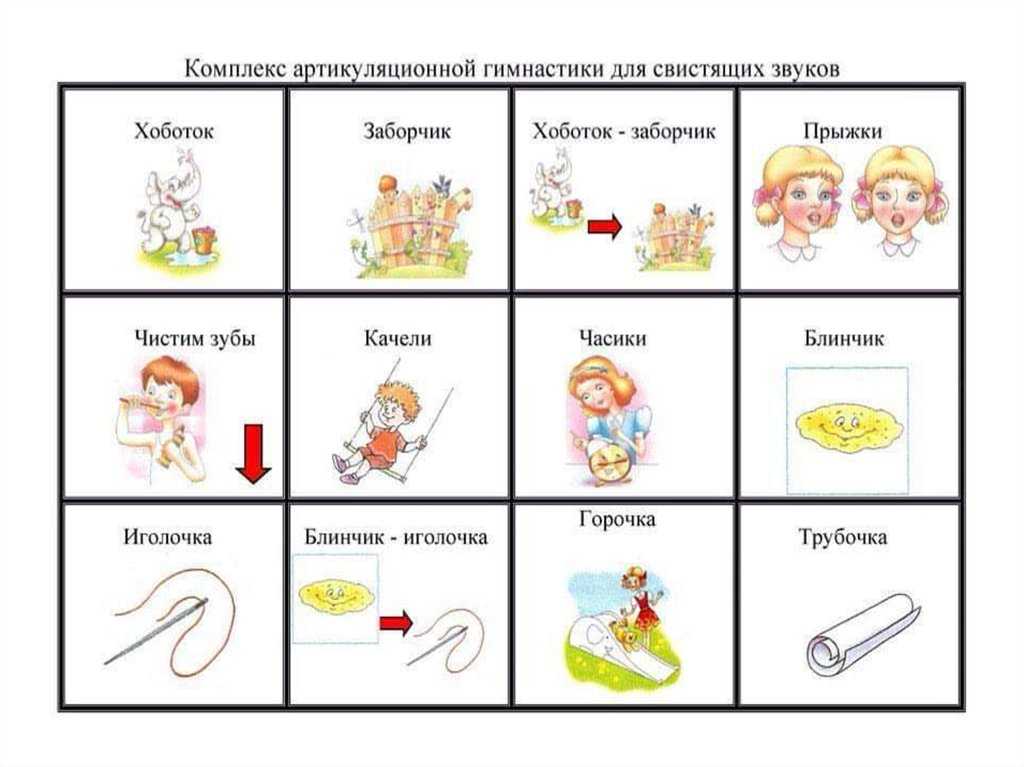 Постановка звуков «с з ц»