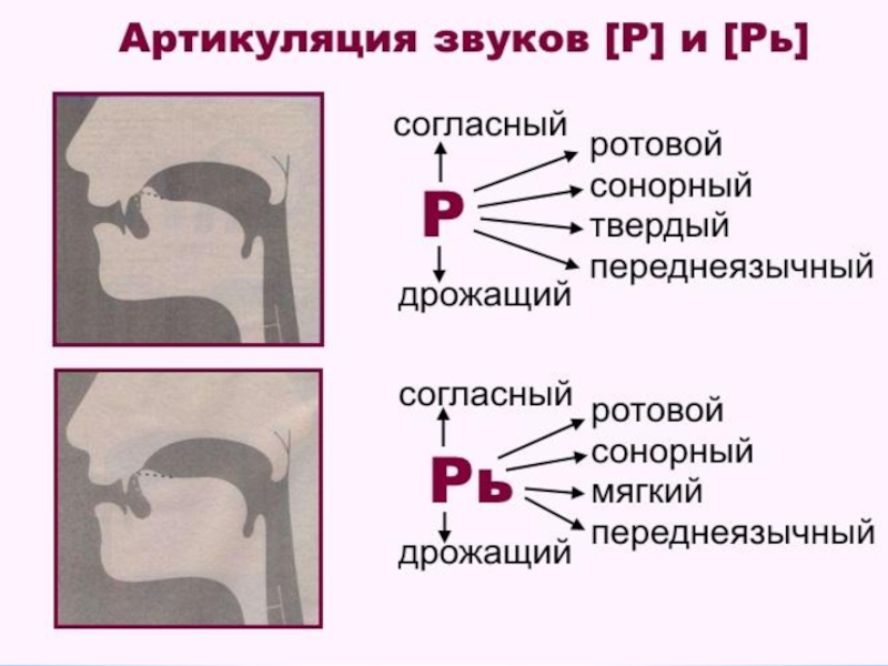 Диффузная артикуляция звуков это определение в логопедии