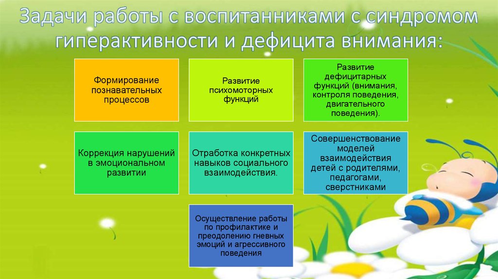 Сдвг у ребенка: симптомы, признаки, лечение