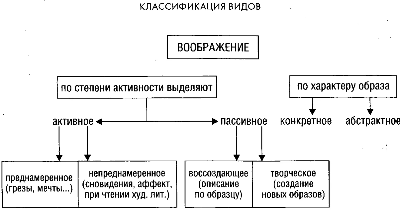 Психологические особенности развития познавательных процессов в дошкольном возрасте