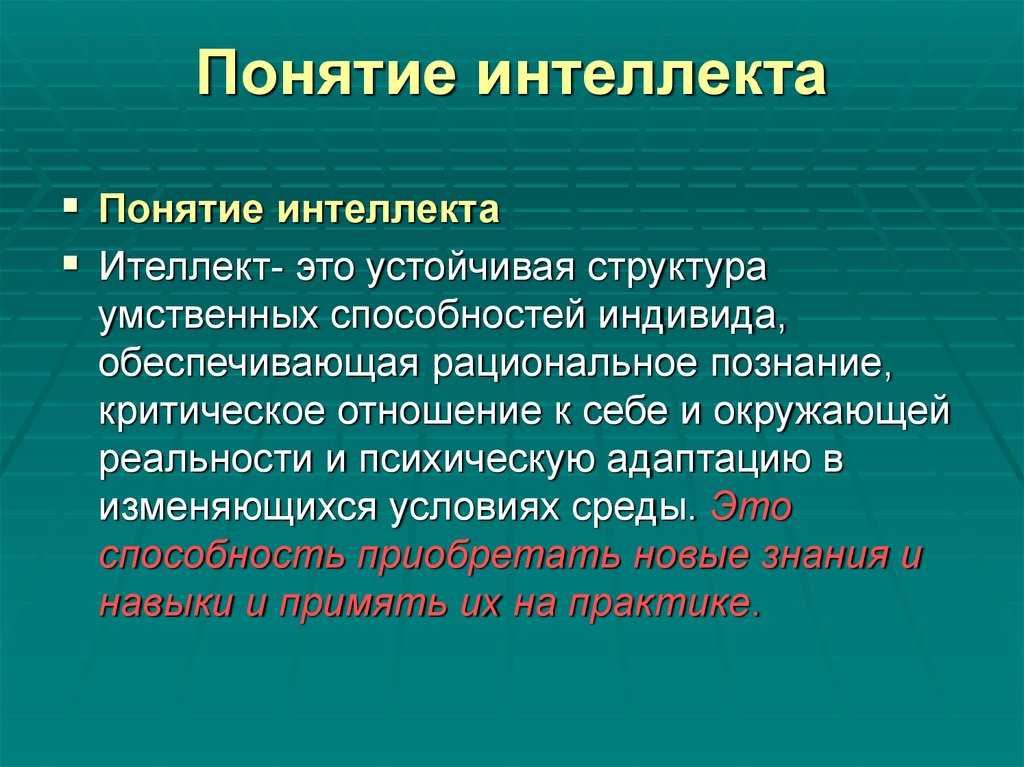 13 типов интеллекта хоумскулера