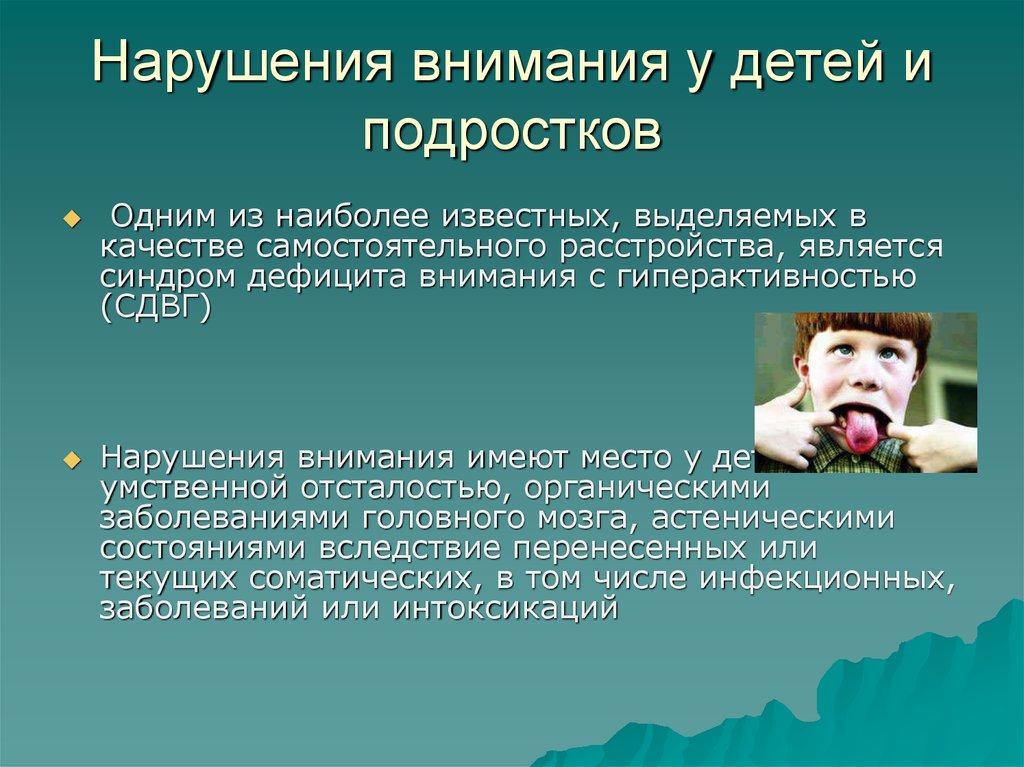Исполнительные функции