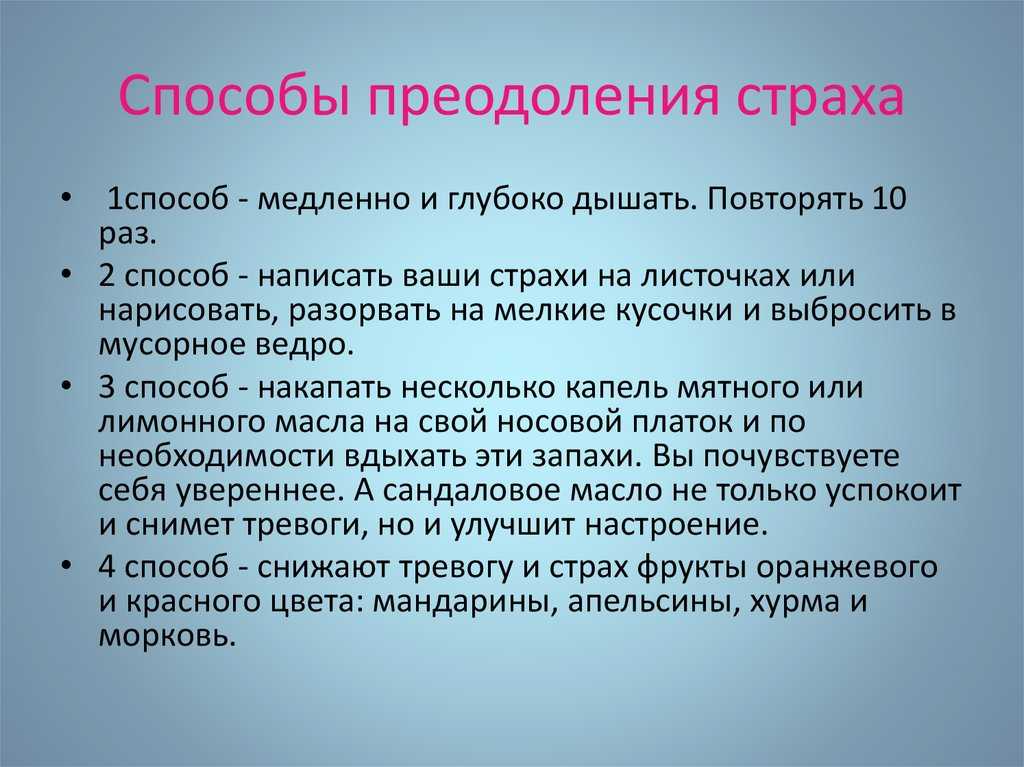 Ребенок боится собак: что делать?