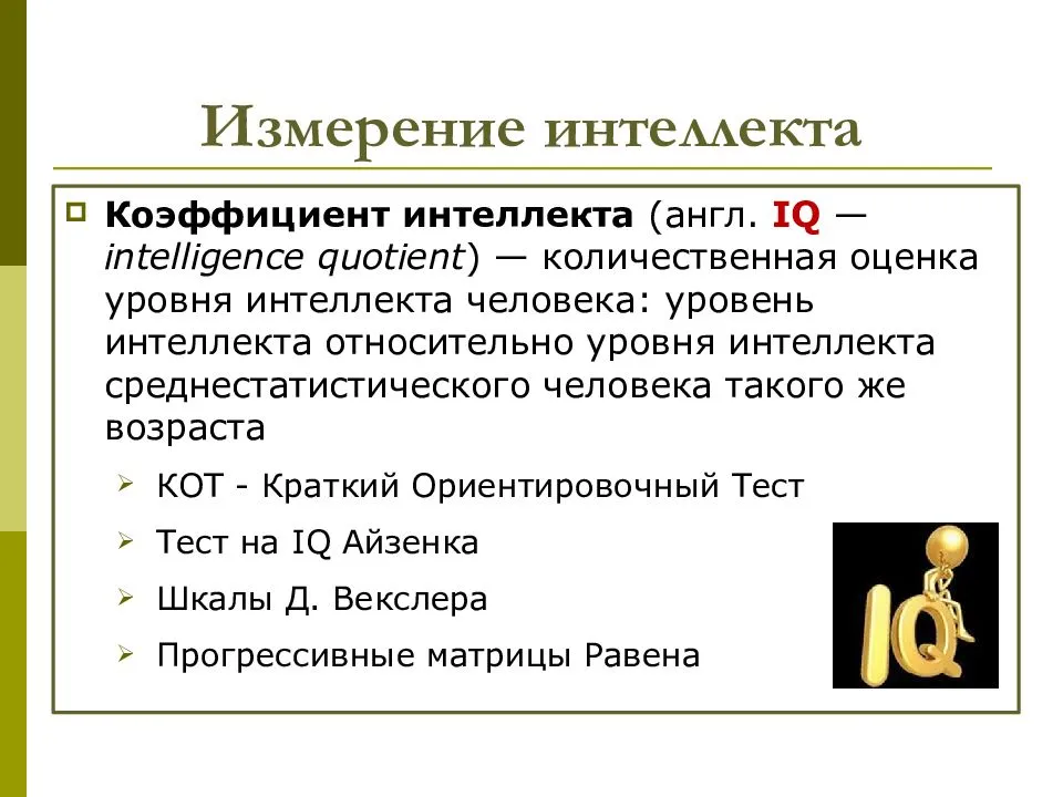 Интеллект – виды, коэффициент, уровни и развитие