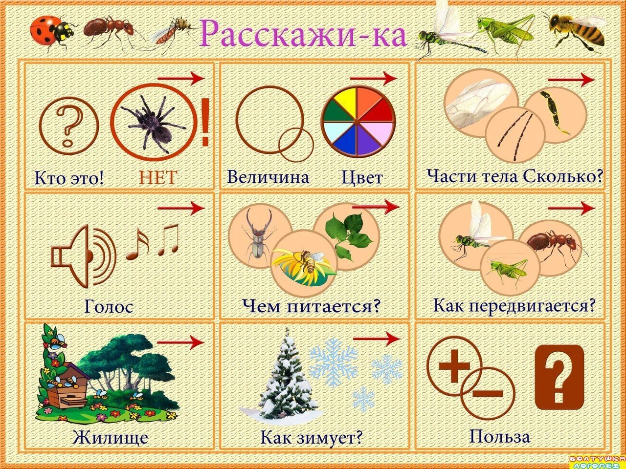 Теория и методика развития речи детей (стр. 25 )