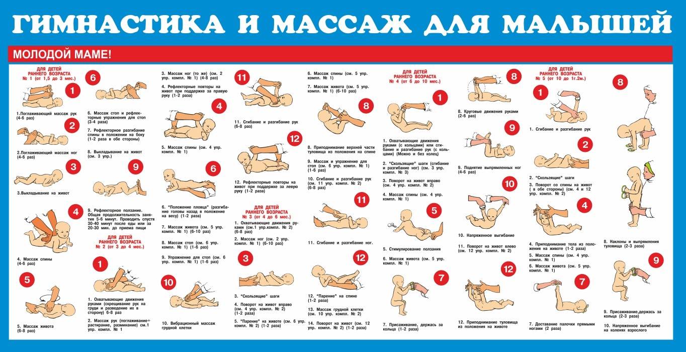 Как научить ребенка садиться на шпагат: растяжка для малышей с fitnessera.ru
как научить ребенка садиться на шпагат: растяжка для малышей с fitnessera.ru