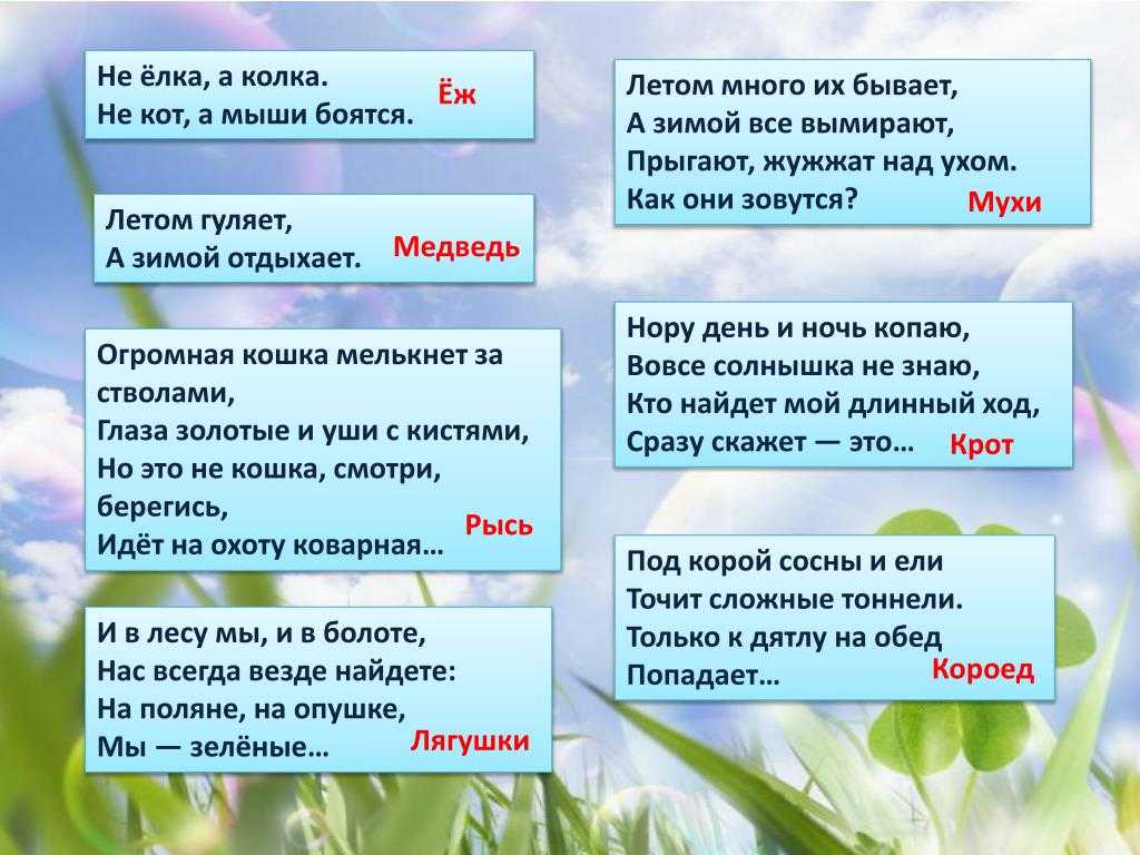 Загадки о воде