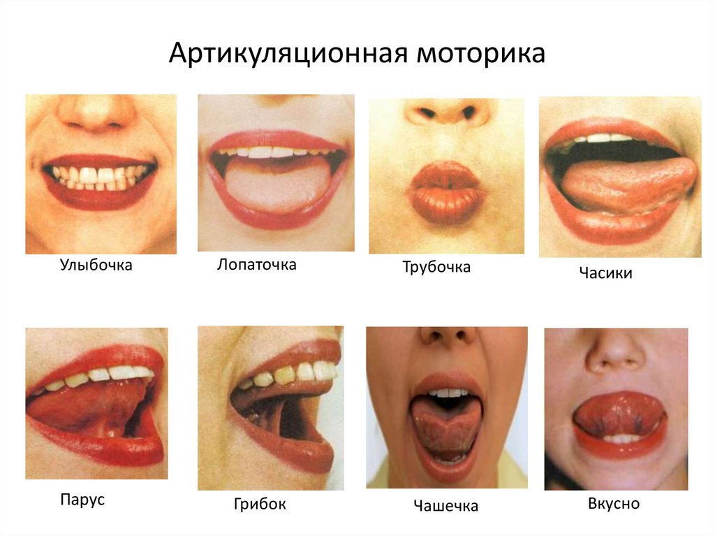 Развитие артикуляционной моторики у детей с нарушением речи как эффективное средство коррекции