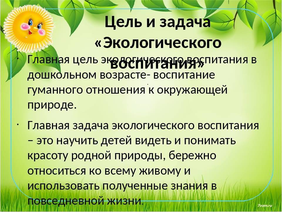 Возможности игры в экологическом образовании 
детей старшего дошкольного возраста | дошкольное образование  | педагогический опыт / всероссийский журнал авторских публикаций, конкурсы и конференции для учителей и воспитателей