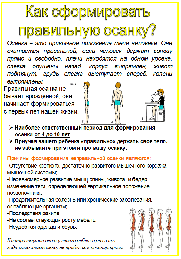 Консультация для педагогов «о правильной осанке». воспитателям детских садов, школьным учителям и педагогам - маам.ру