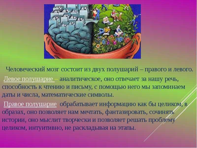 Правое полушарие головного мозга: за что отвечает, основные функции