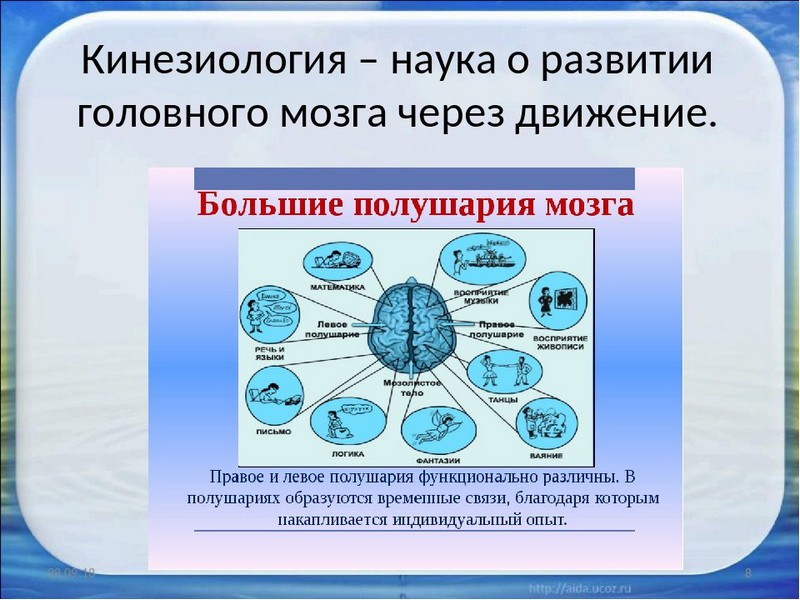 Что такое кинезиология, какие направления и упражнения существуют