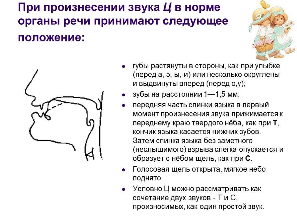 Как научить малыша правильно выговаривать свистящие з, с, ц
