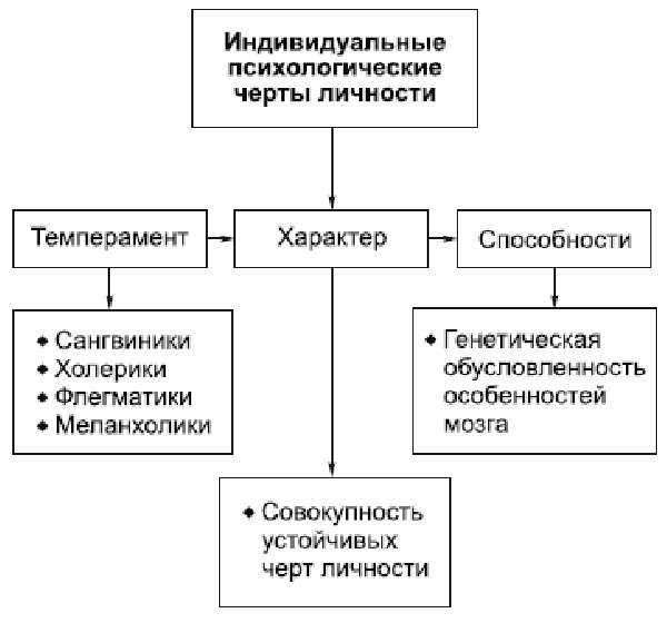 Российская школа дифференциальной психофизиологии