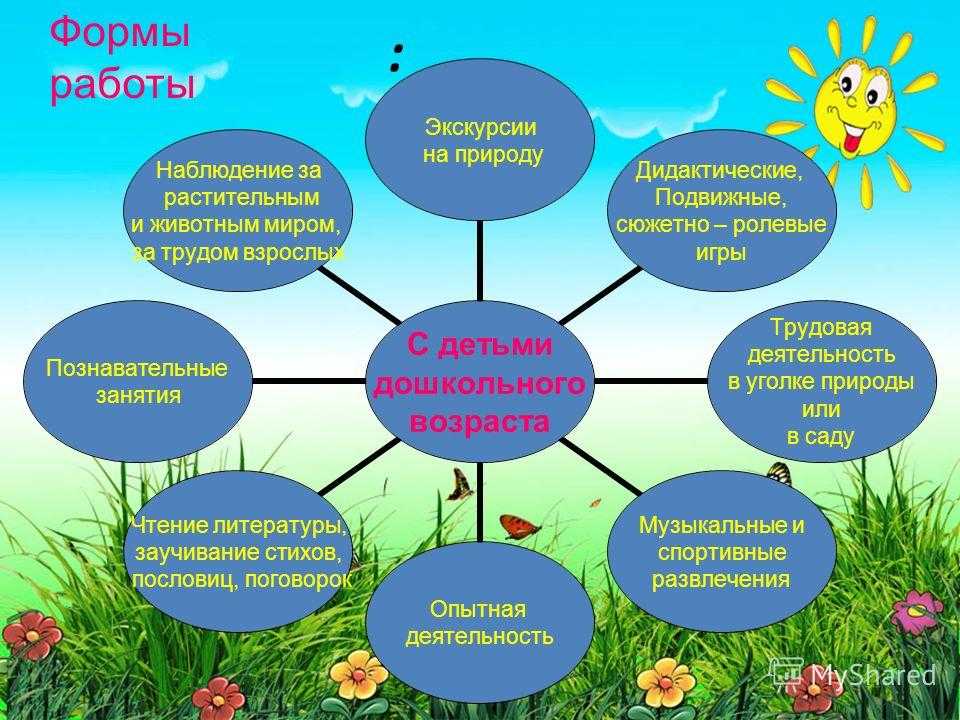 В данной статье содержится информация о том какие виды экскурсии бывают в детском дошкольном учреждении