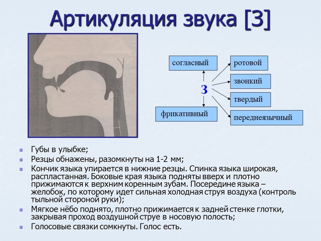 Артикуляция и дикция: упражнения для правильного и четкого произношения звуков – развитие речи у детей