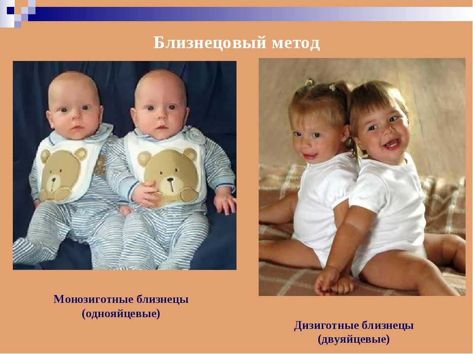 Чем отличаются близнецы от двойняшек: простое объяснение разницы между ними