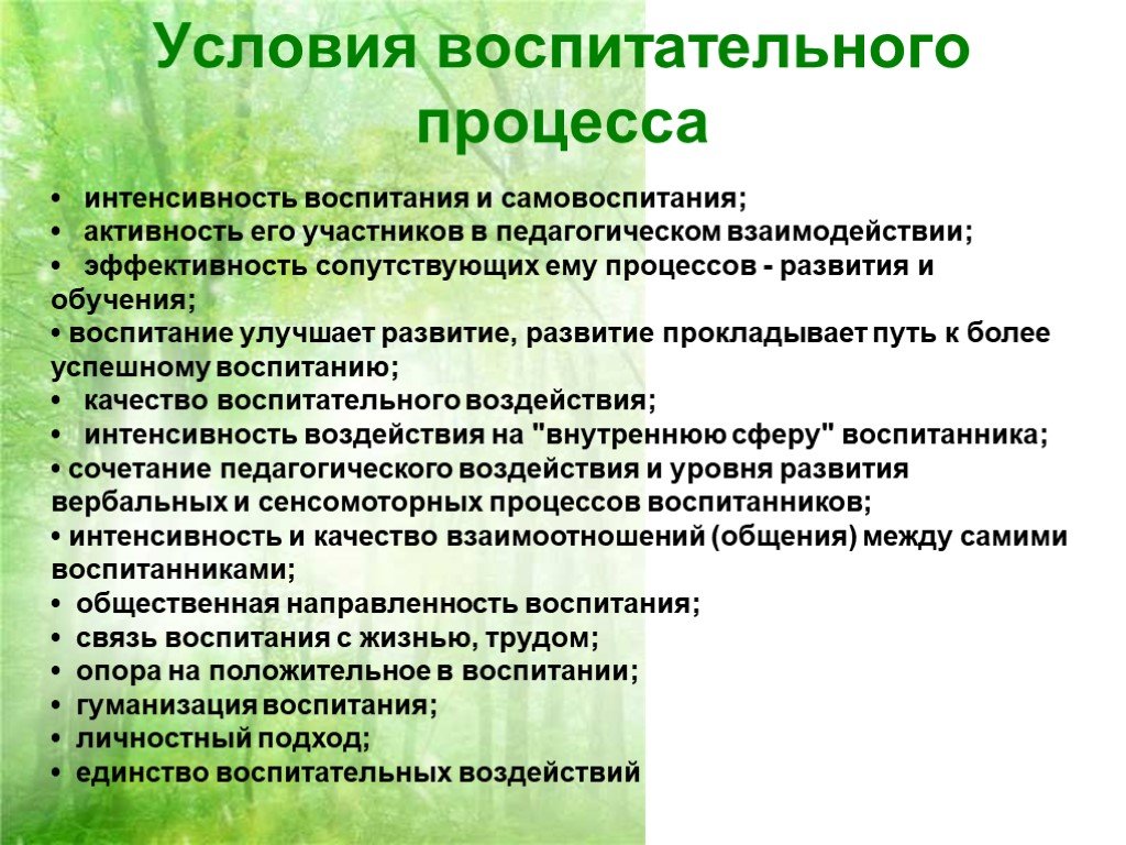 Принципы организации обучения детей