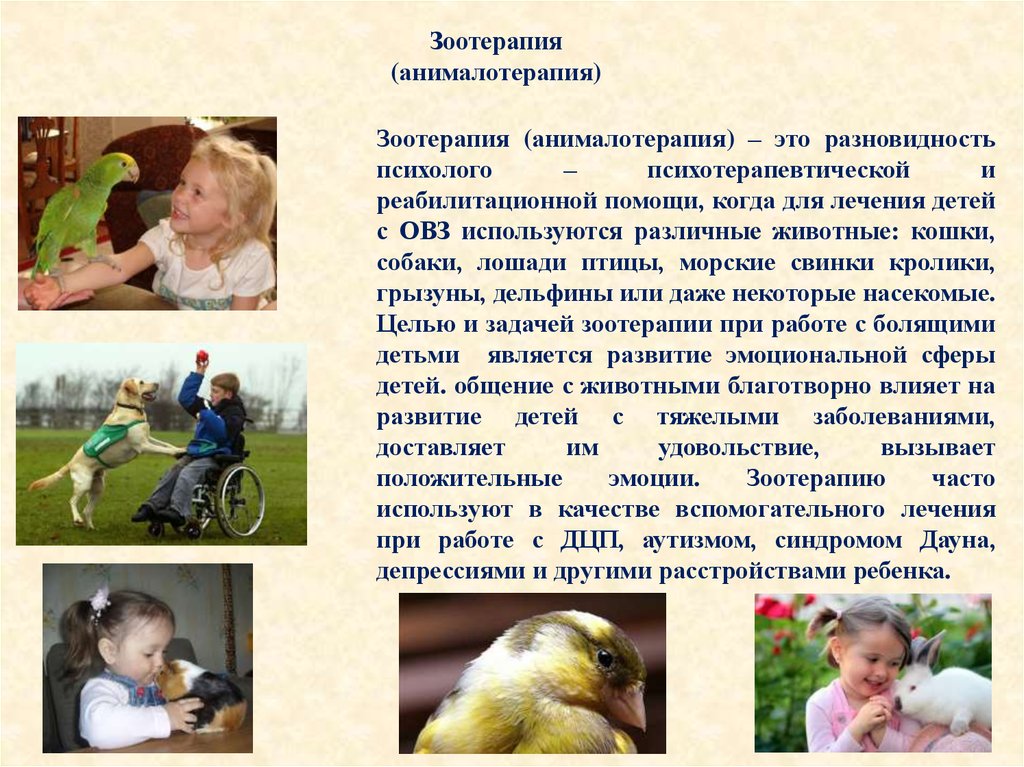 Анималотерапия — один из видов терапии