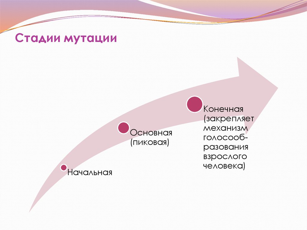 Прикус и речь. что нужно знать родителям о миофункциональных нарушениях?