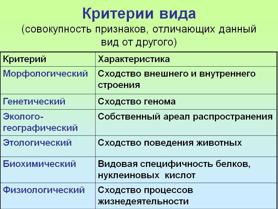 Что такое иппотерапия или лечебная верховая езда? | фонд «близкие другие»