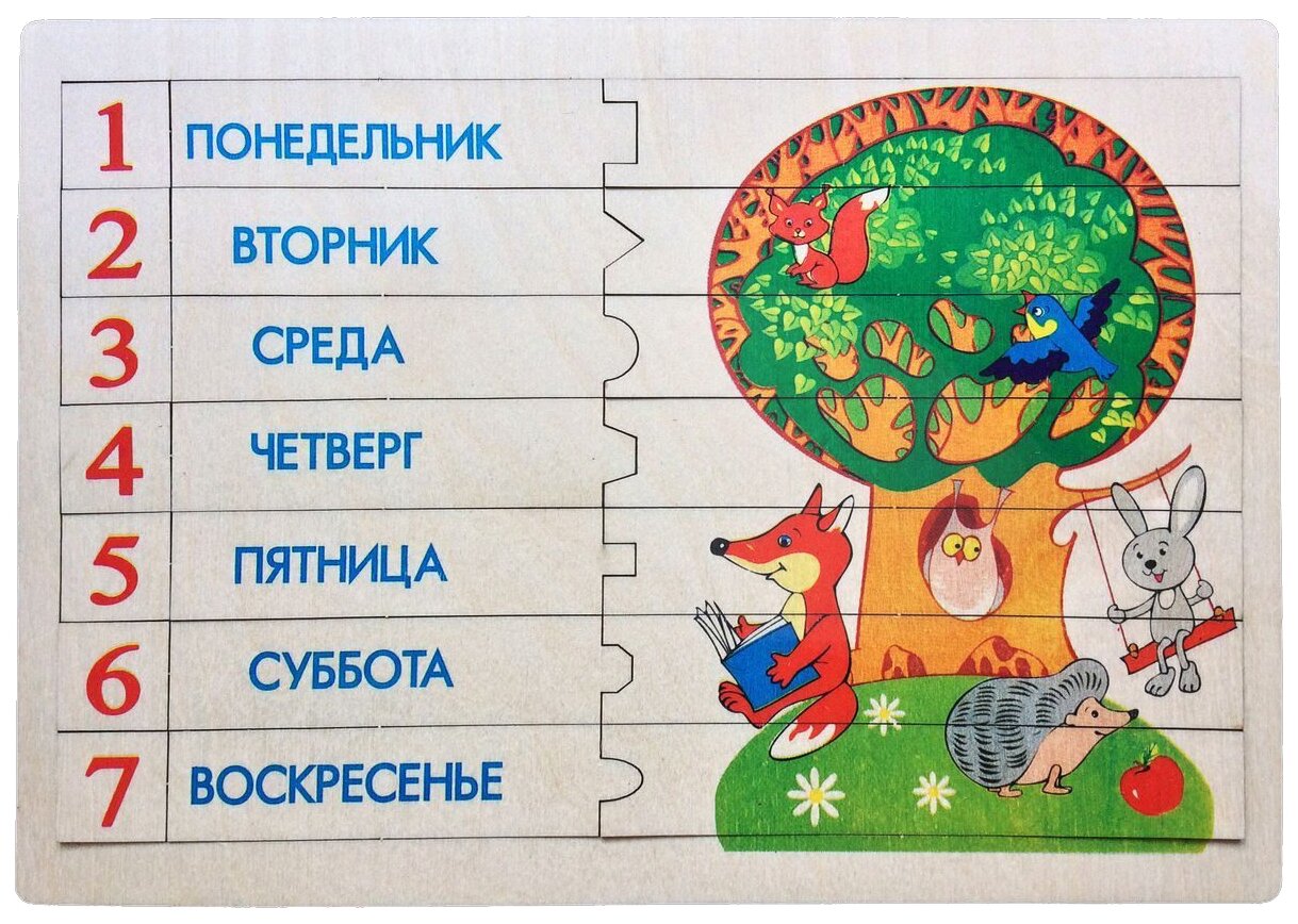Как выучить с ребёнком дни недели и время суток