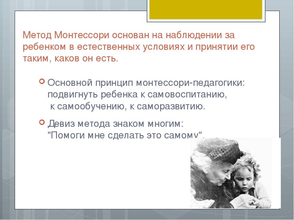 Это вам не игрушки! 5 идей монтессори-педагогики, которые помогут в обучении взрослых
