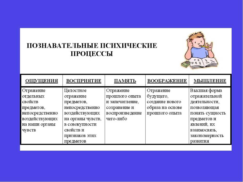 Развитие познавательного интереса в дошкольном возрасте
