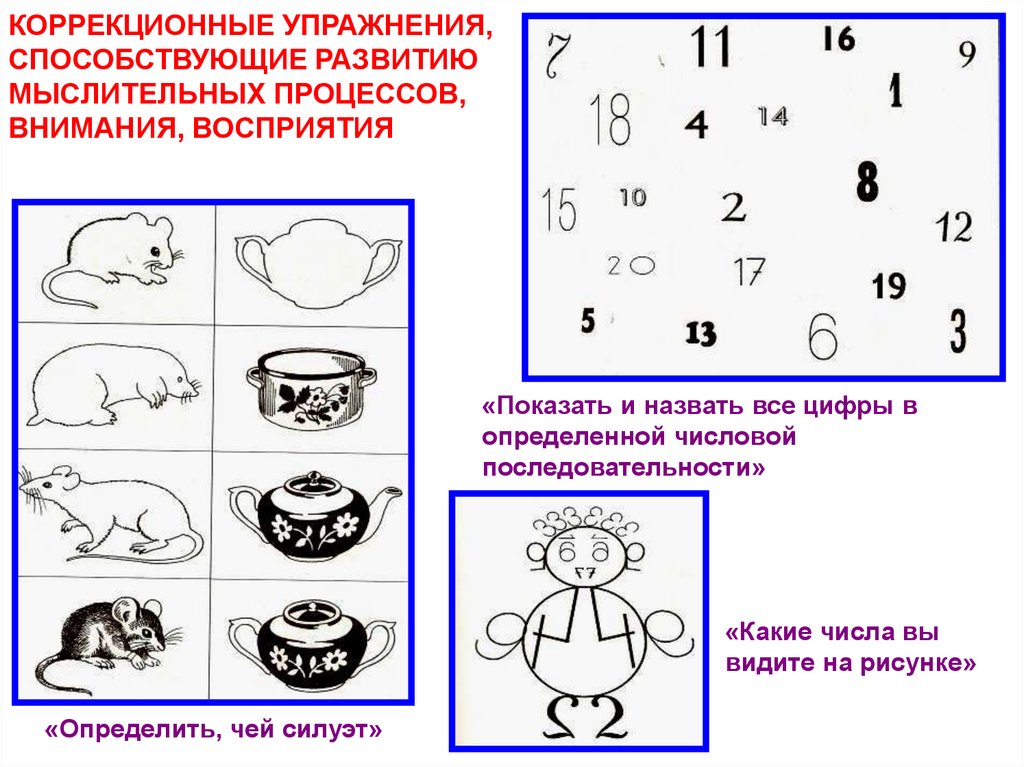 Развитие интеллекта у детей дошкольного возраста