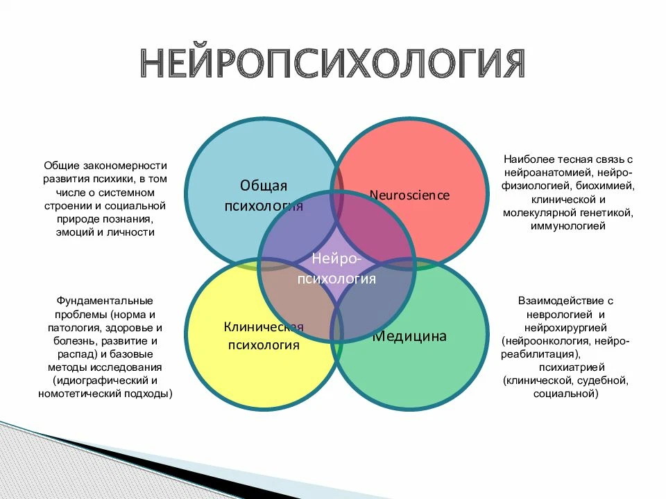 Упражнения для развития межполушарных связей головного мозга у детей