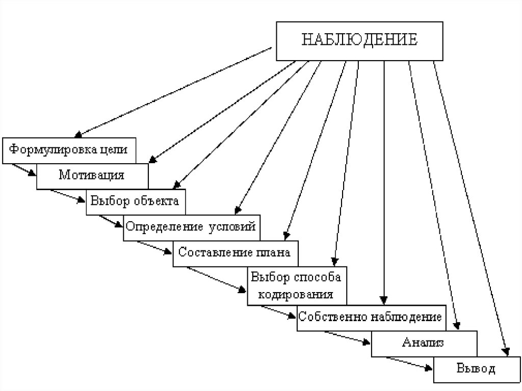 Наблюдения в младшей группе детского сада - педагог