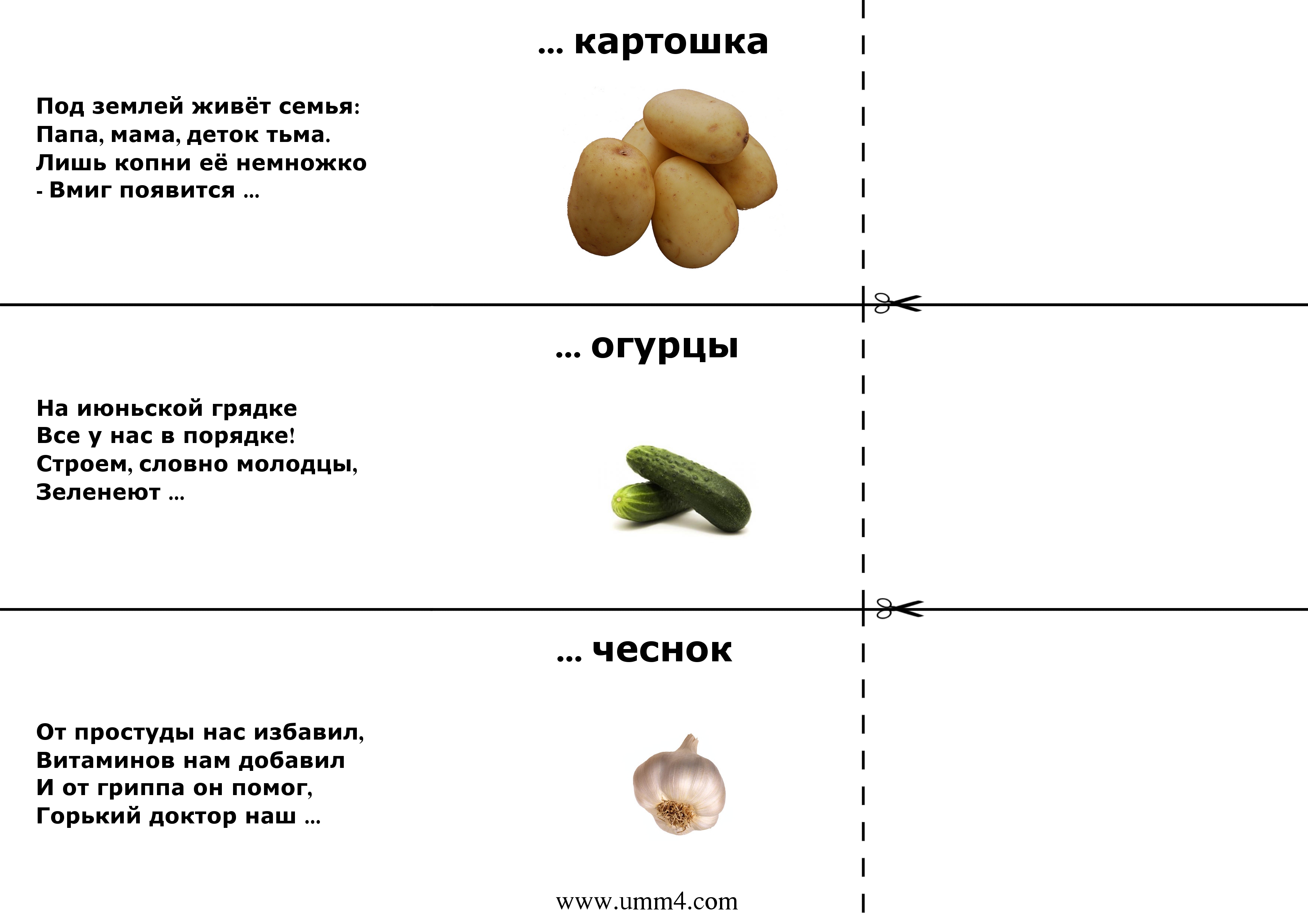 Загадки с подвохом