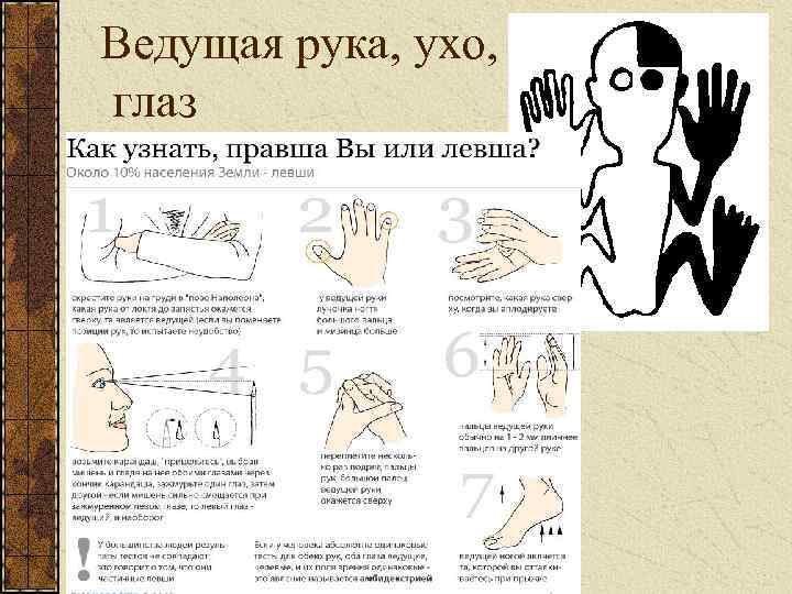 А когда ребенок определяется: левша он или правша? - страна мам