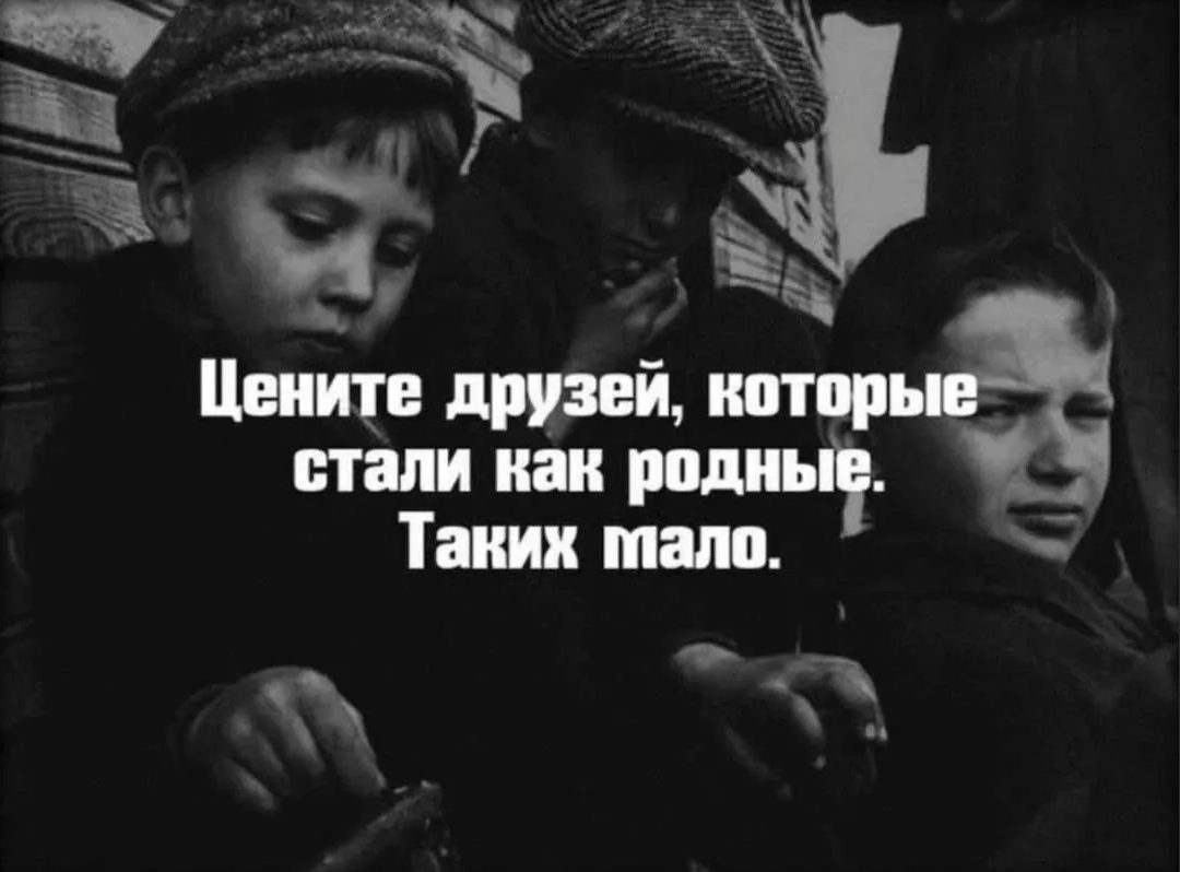 О дружбе в цитатах и афоризмах