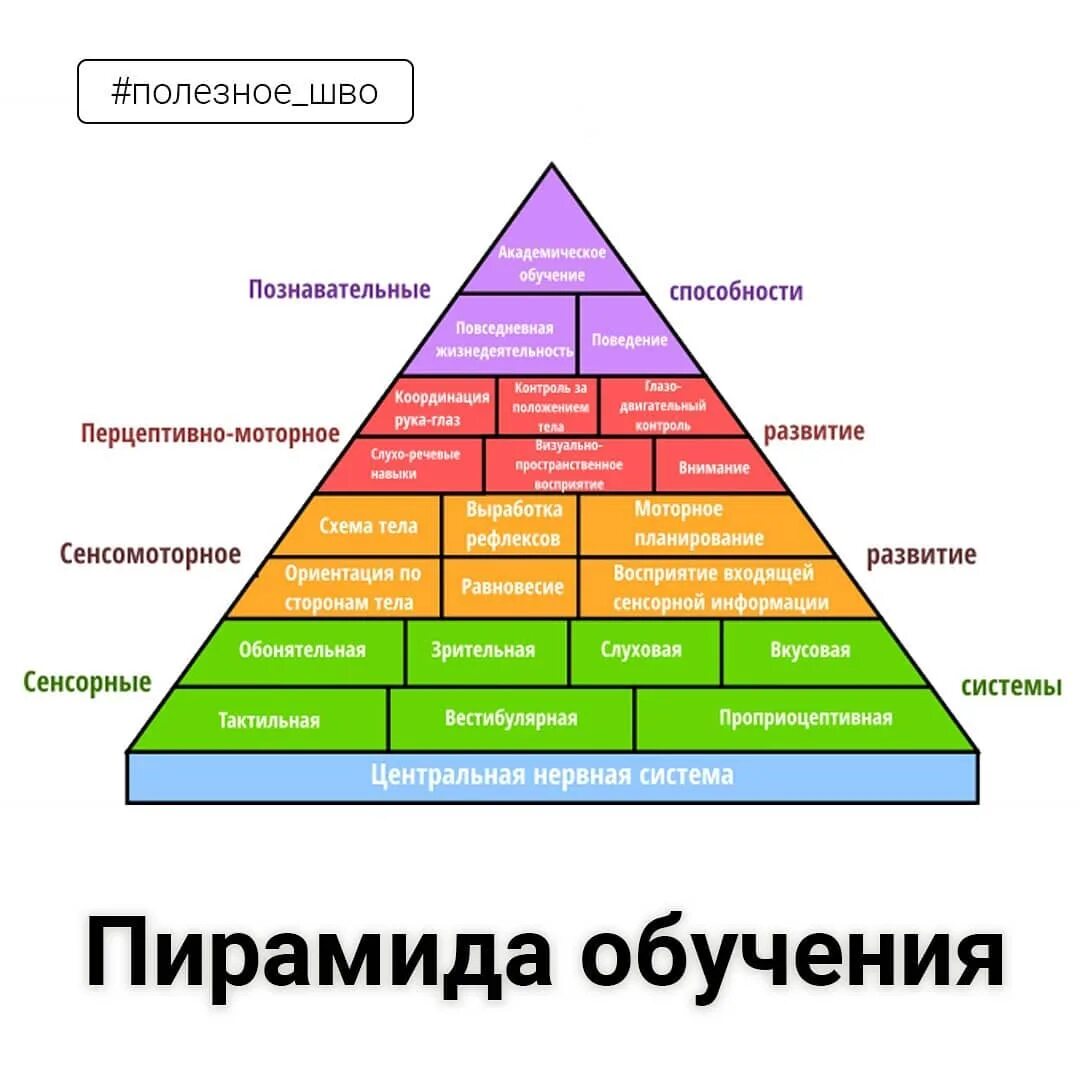 Теория когнитивного развития (концепция ж. пиаже)