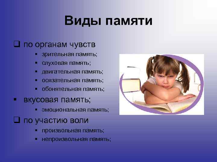 Как развить и тренировать память у ребёнка? советы психолога
