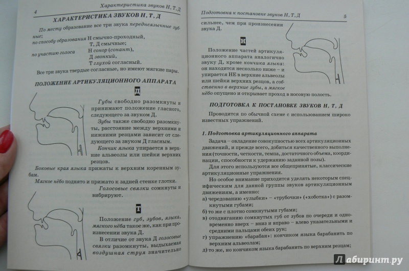 Постановка мягких звуков (т’), (д’) (ть, дь). постановка и автоматизация звуков "т д" постановка звука ть