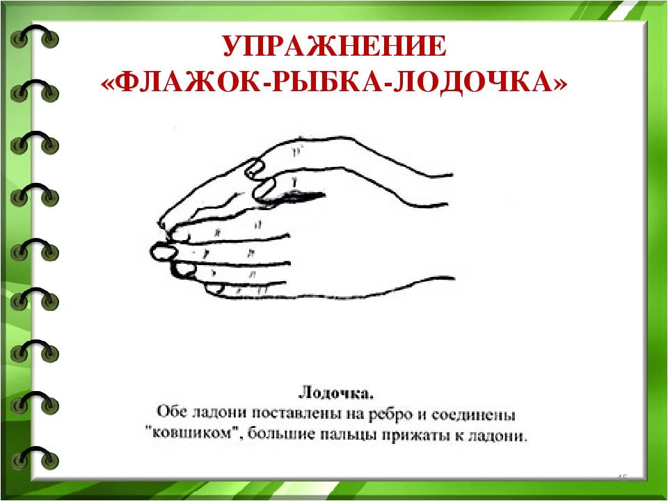 Презентация на тему "кинизиология в логопедии. игры и упражнения в картинках" по физкультуре