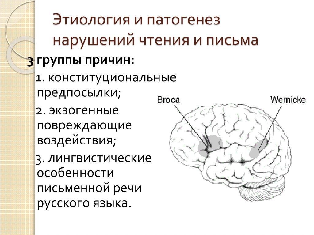 Строение речевого аппарата, этиология и патогенез заикания