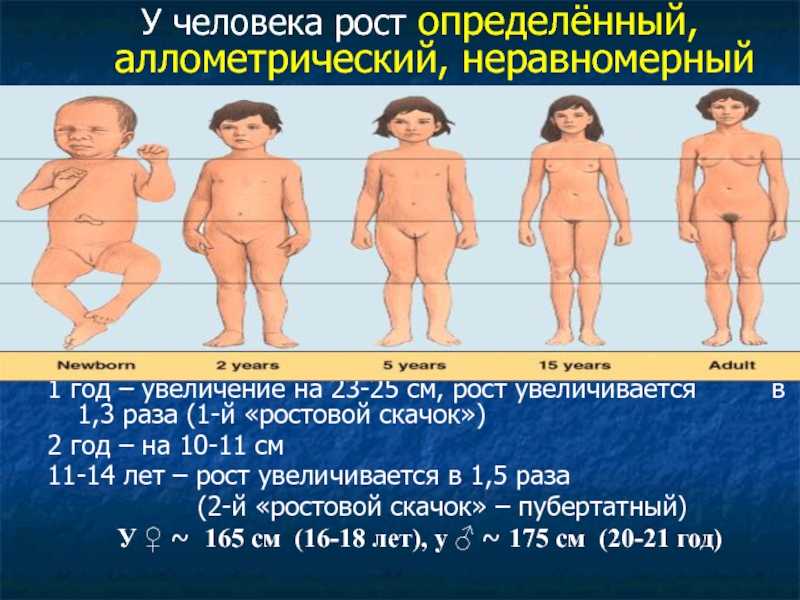 Психологические особенности подросткового возраста: 12-15 лет